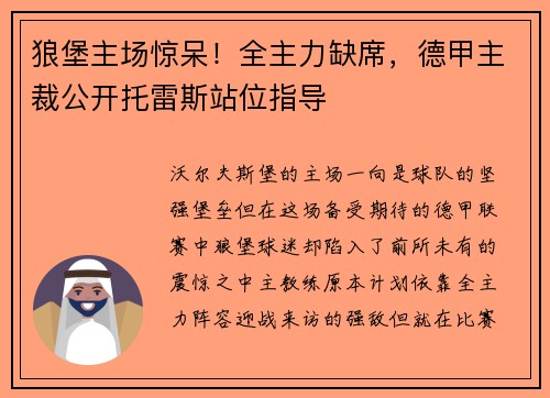 狼堡主场惊呆！全主力缺席，德甲主裁公开托雷斯站位指导