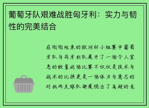 葡萄牙队艰难战胜匈牙利：实力与韧性的完美结合